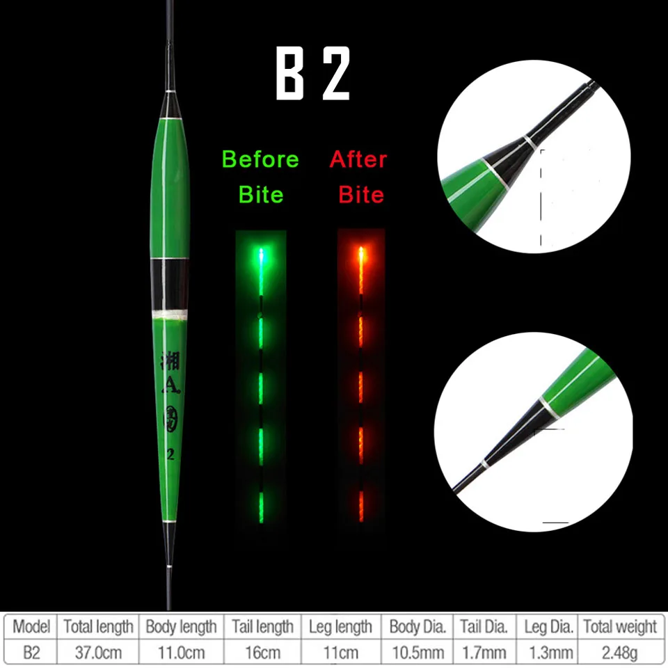 B 2