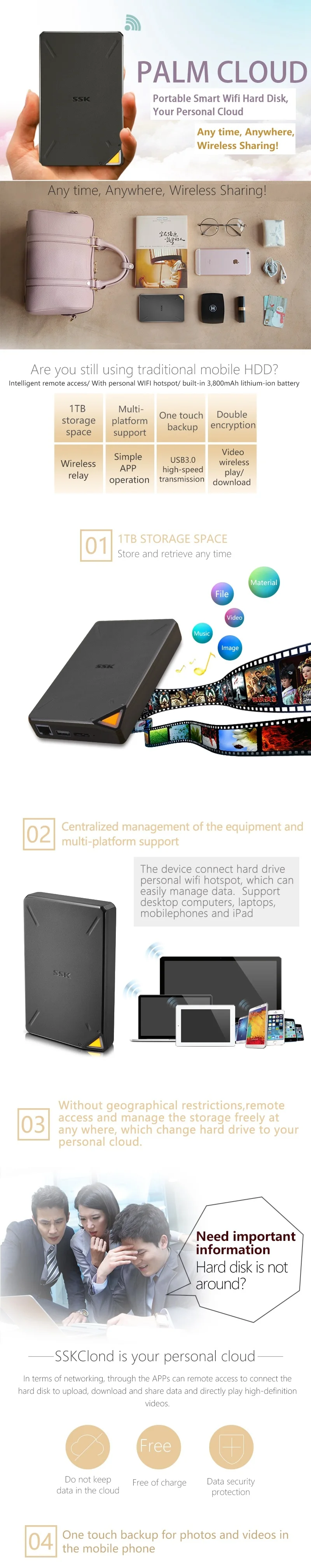HAR DISK SSM-F200(1)_1