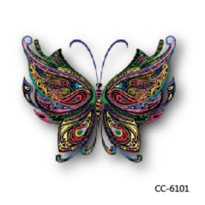 CC6101