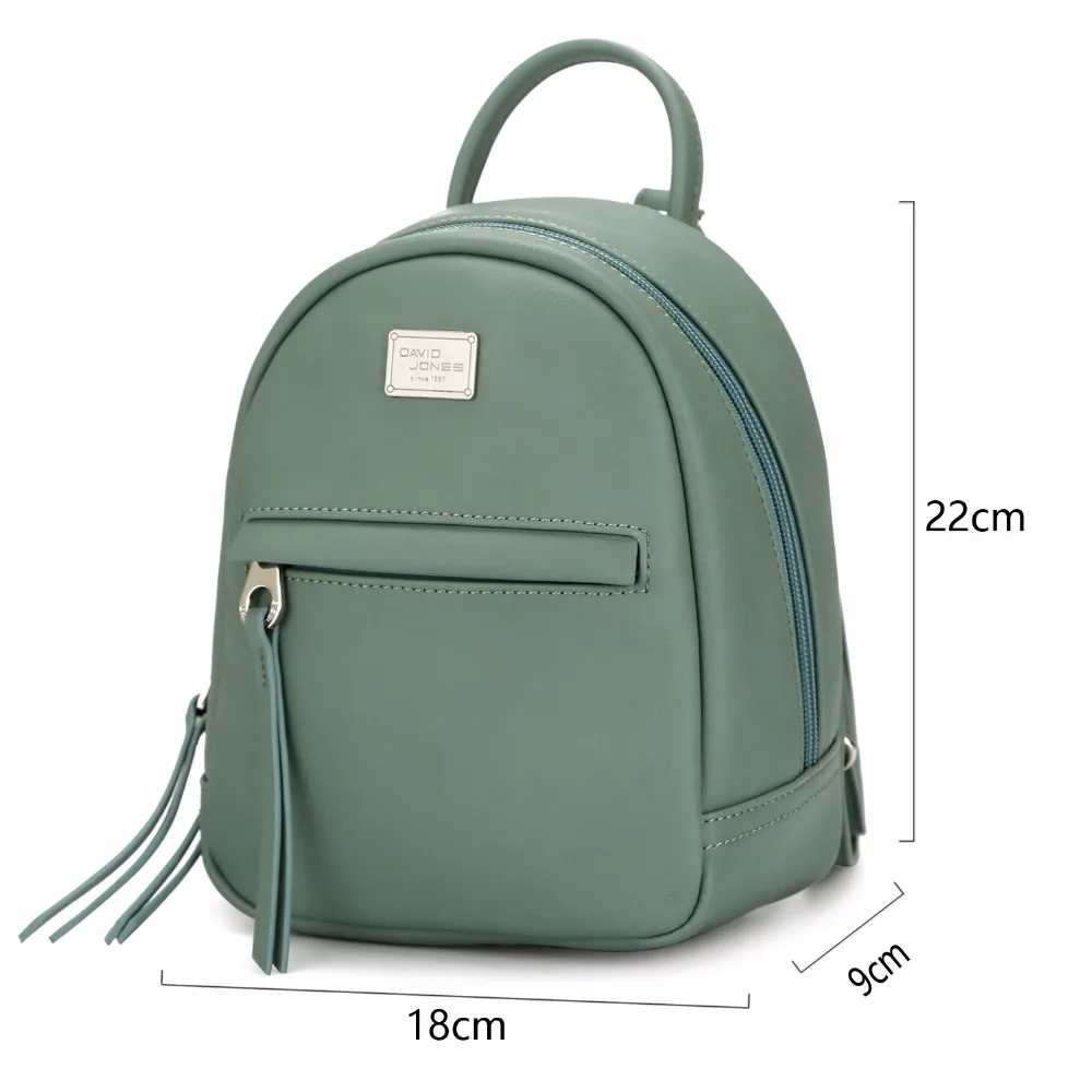 david jones backpack bags