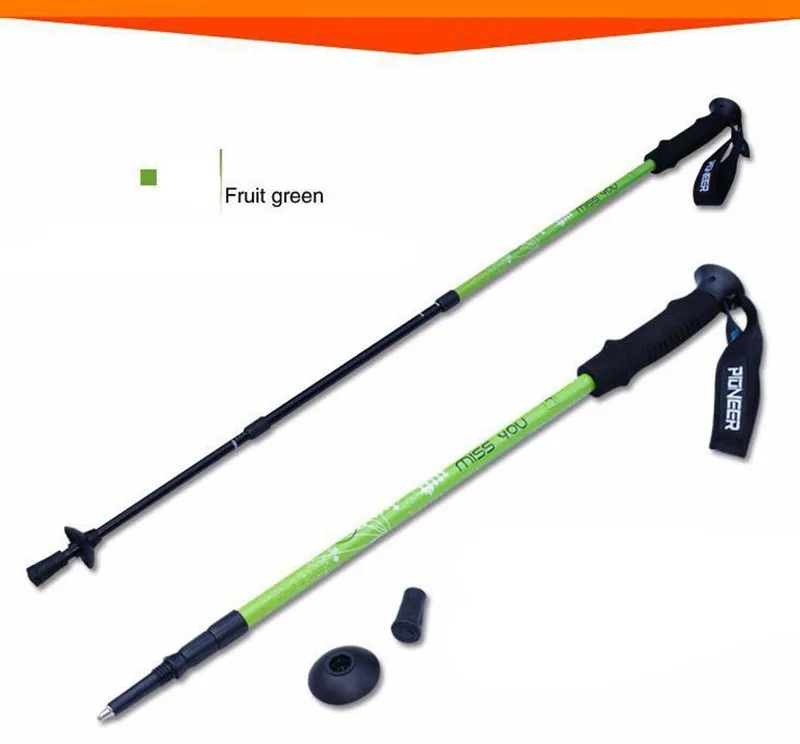 TP1005 03 Nordic Walk Cane