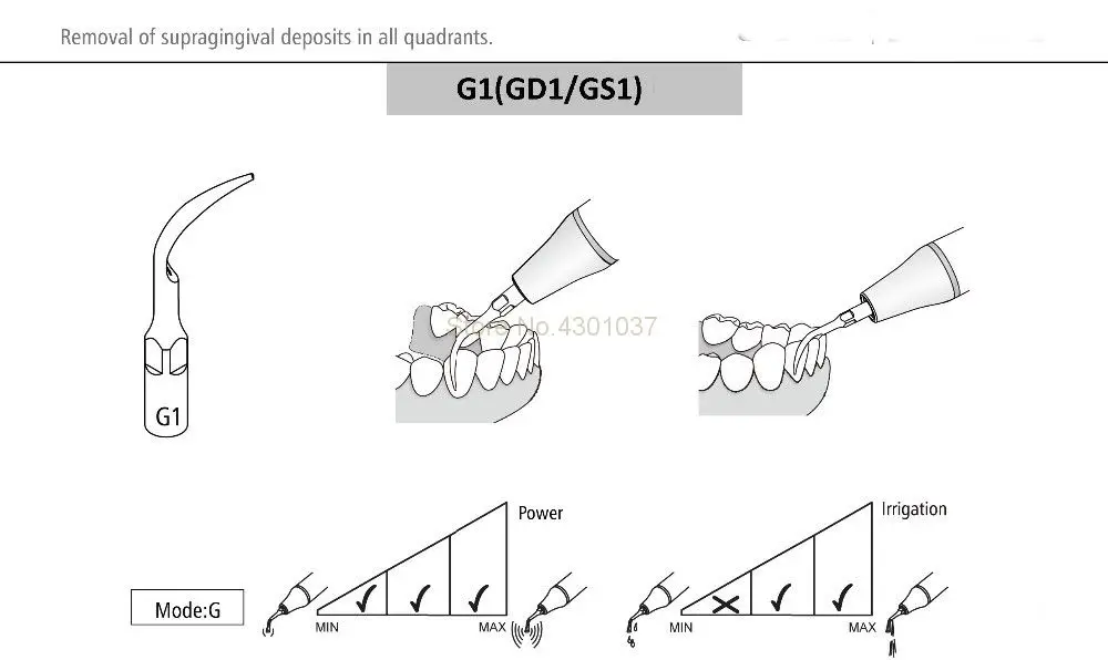 GS1_1