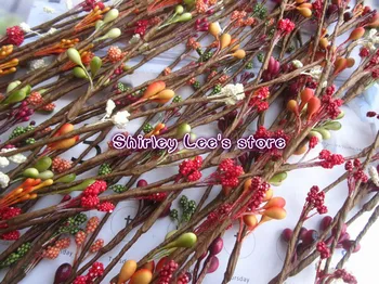 

2013 New Design!!! (400pcs/lot) Pretty Pip Berry Stem in Many Different Colors *FREE SHIPPING*