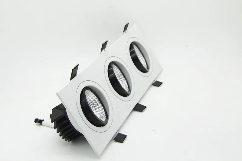 Dimmable Downlight (20)