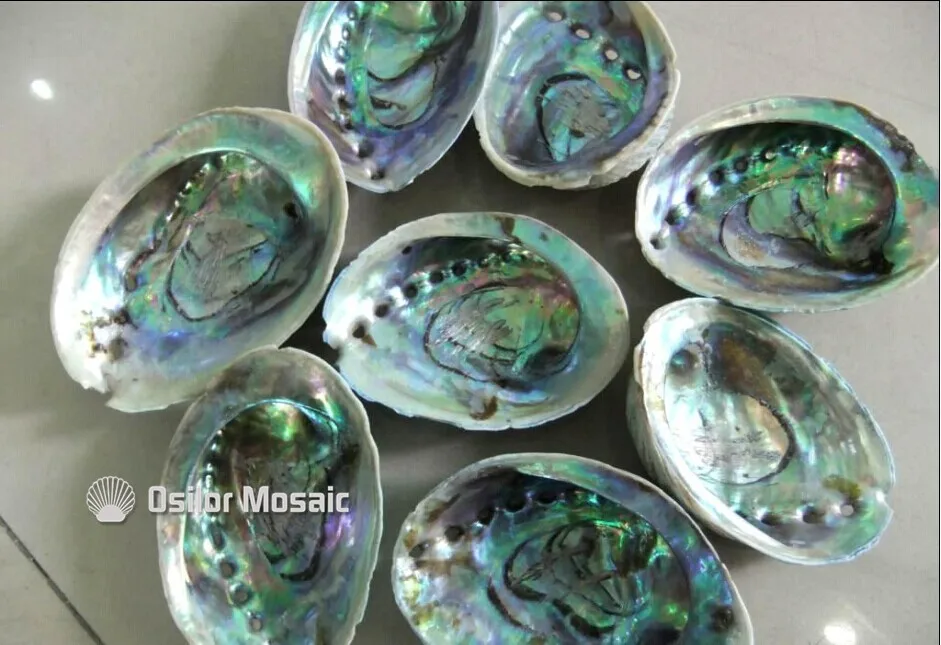 Морская раковина abalone paua раковина бесшовная перламутровая мозаичная плитка для интерьера дома декоративная настенная плитка 1 шт