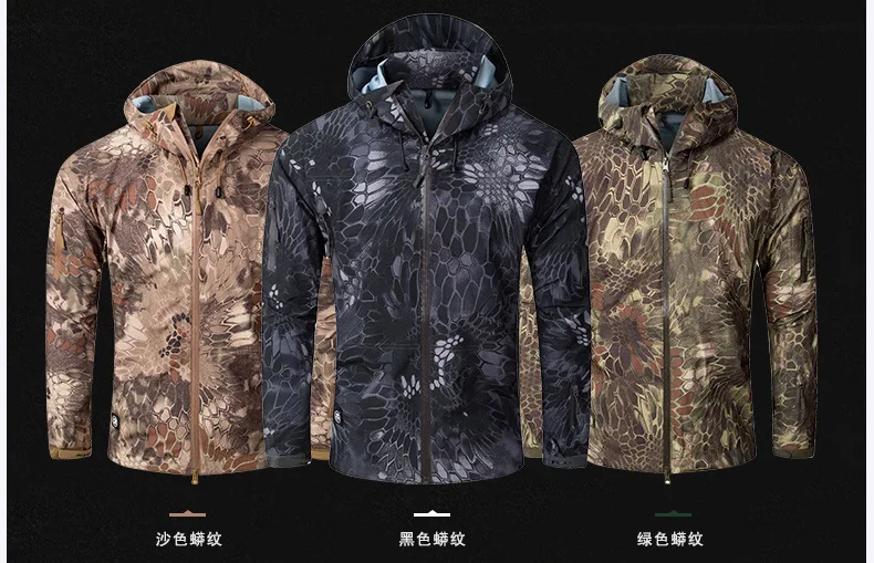 3434131500_1055738061