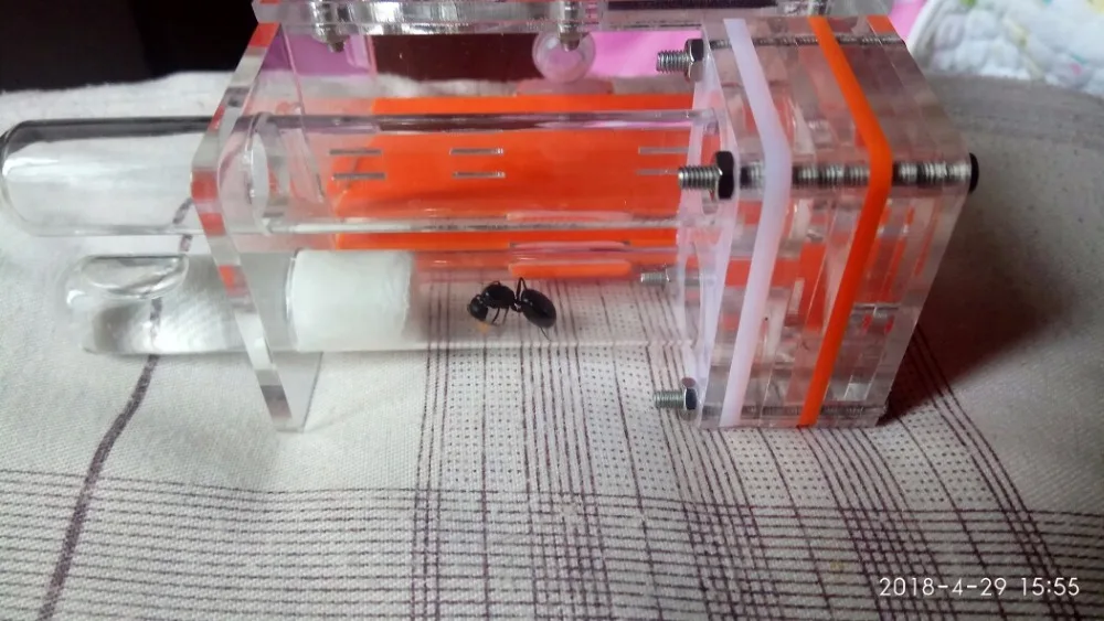 glass-tubes-ant-nest (11)