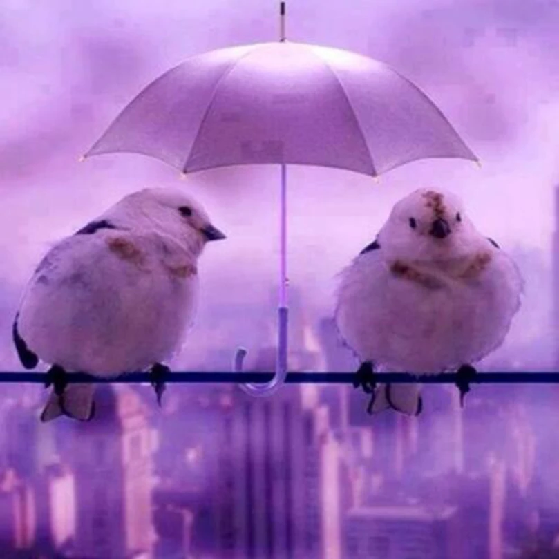 Umbrella Bird Diy Diamond Painting Kits Needlework Full Drill