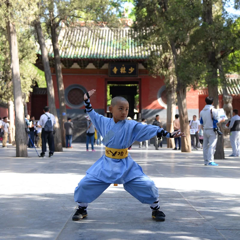 Одежда Wushu, Униформа, костюм, крыло chun, кунг-фу, форма для единоборств, одежда shaolin FF1811