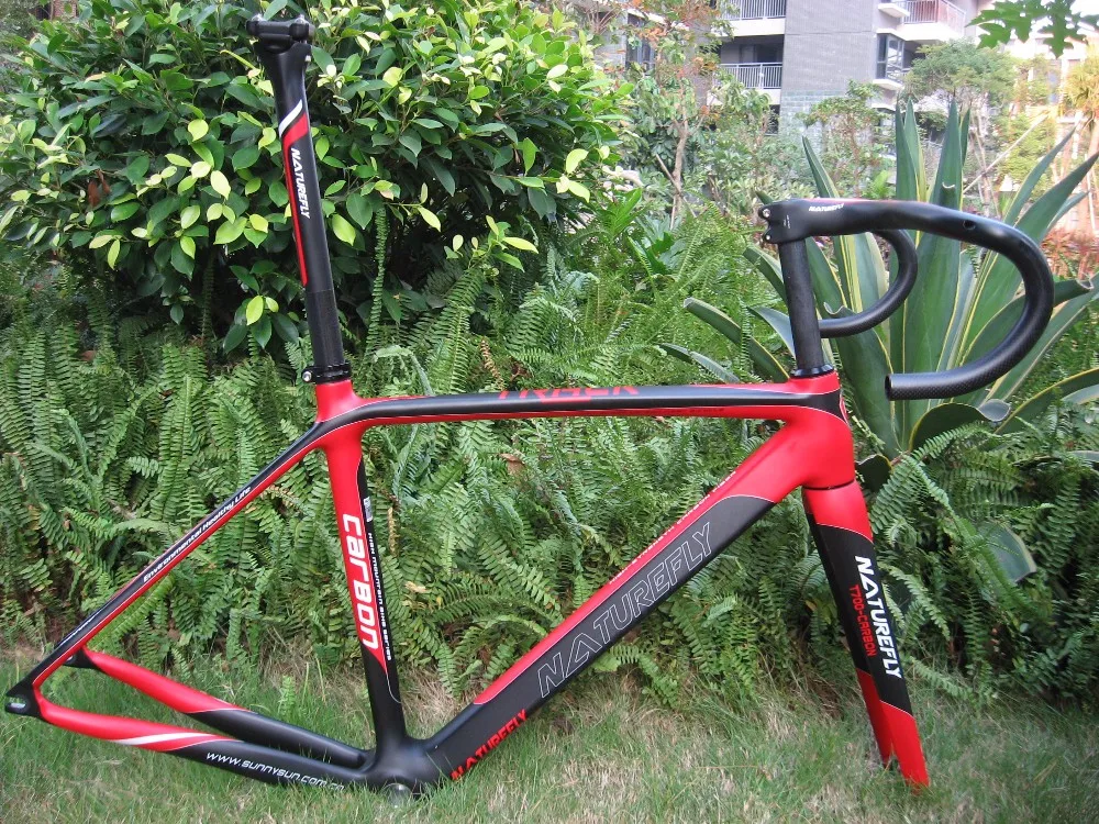 Top Specials ! Free shipping ! 2019 Naturefly Carbon Bike Frame Fixed Gear/Single Speed Red/Black/White 1