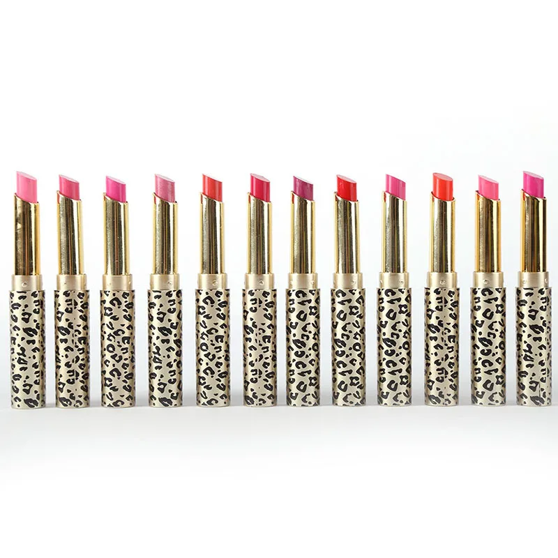 

New Professional 12pcs/lot Makeup Lipstick Waterproof Cosmetic Lip Gloss Rouge Lip Sticks WD2