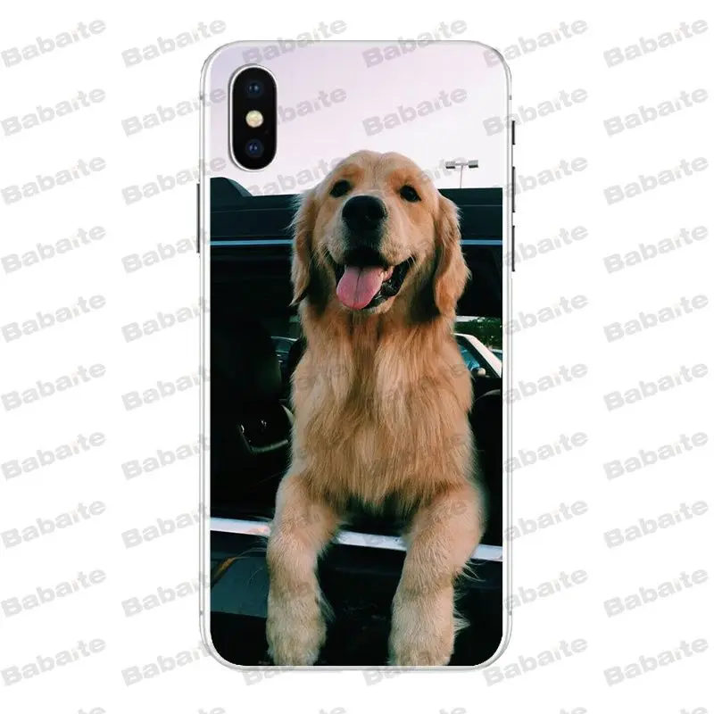 Супермилый чехол для телефона Babaite с золотистым ретривером iPhone X Xs Xr XsMax 6 6s Plus 7 7plus 8