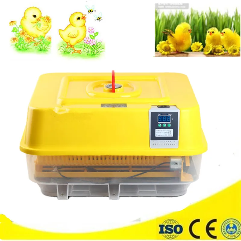 Newest small eggs incubator automatic digital control hatcher chicken goose egg poultry brooder equipment Newest small eggs incubator automatic digital control hatcher chicken goose egg poultry brooder equipment