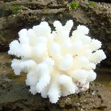 Decoração para aquário, decoração coral real de aquário, pedra marinha, 1 peça