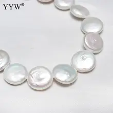 YYW di Alta Qualità AA Coltivate D'acqua Dolce Della Moneta Perla Beads Flat Round bianco naturale 16-18mm Venduto Per Circa 15.3 Inch Strand