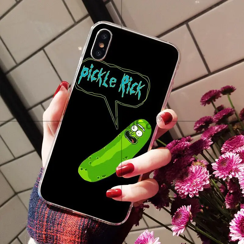 Rick and Morty pickle rick