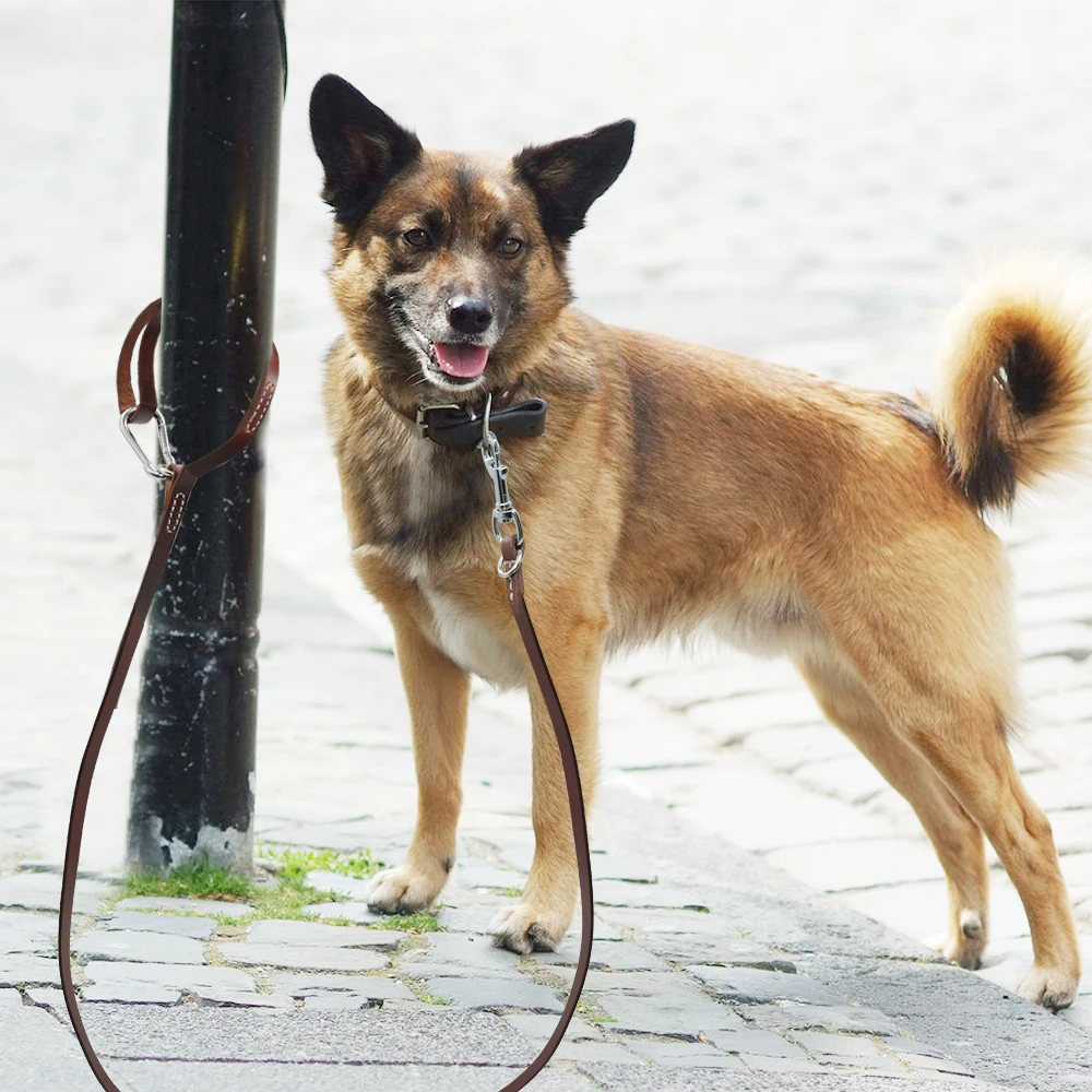 Didog поводок для собак из натуральной кожи, поводок для собак k9, поводок для маленьких, средних и больших собак, поводок для прогулок