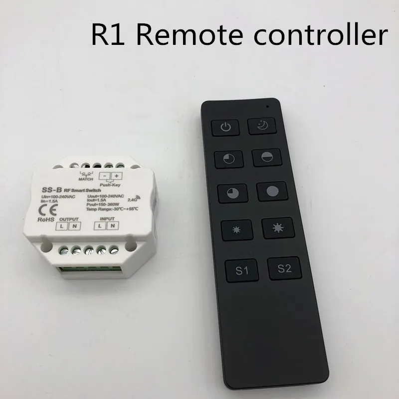 R1 