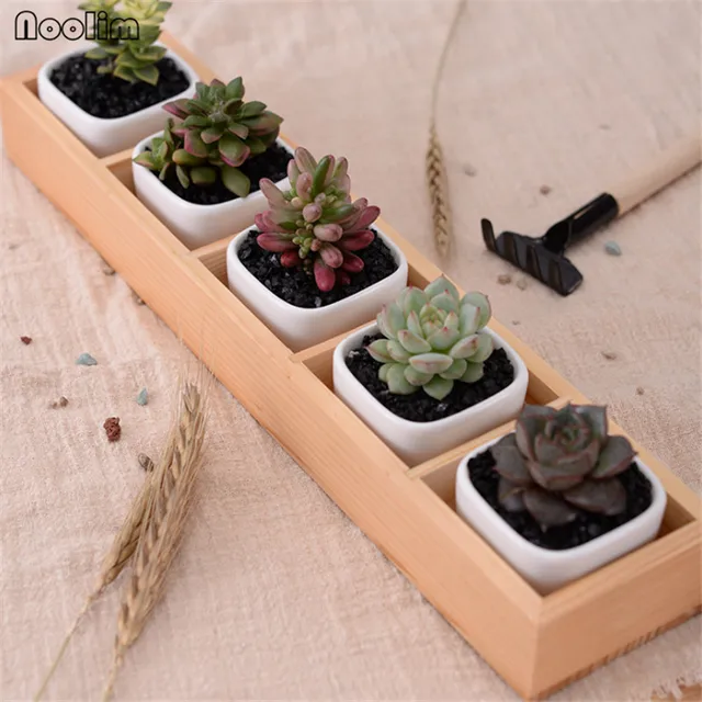 Noolim Set Of Modern Decorative Small White Square Ceramic Succulent Noolim Set Of Modern Decorative Small White Square Ceramic Succulent Plant Pot 5 Flower Pots With 1 Wooden Tray Box Home Decor