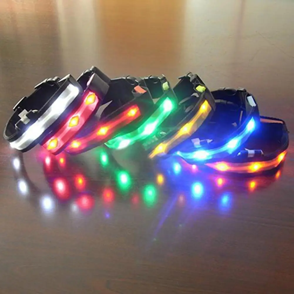 TINGHAO LED Collar Puppy Cat Dog Collars Harnesses Leads Dark Night