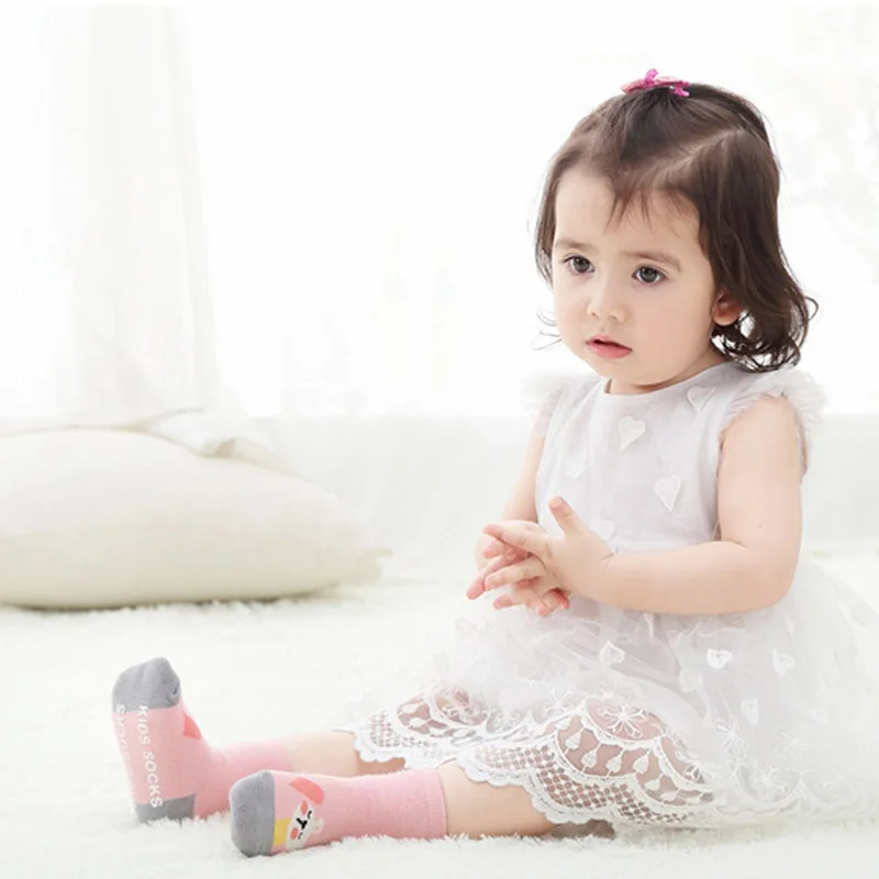 AM795z (3)