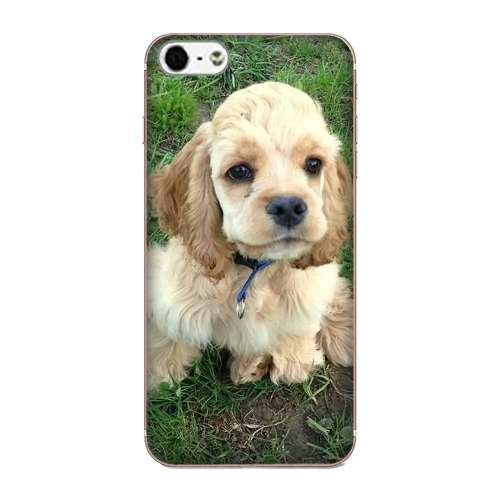 Cocker Spaniels щенки собаки прозрачный мягкий чехол для Apple iPhone X XS Max XR 4 4S 5 5C 5S SE 6 6S 7 8