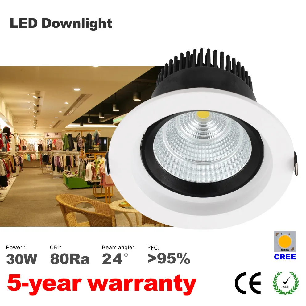 

2pcs AC85V-265V 110V / 220V 30W LED Ceiling Downlight Recessed LED Wall lamp Spot light With LED Driver For Home  cutout 140mm