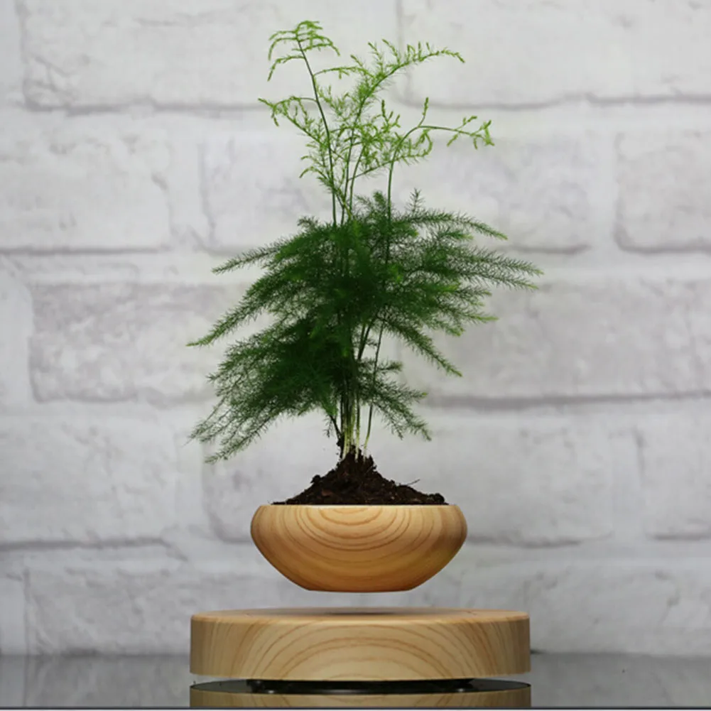 

Beautiful Vintage Item Casual Floating Bonsai Plant Supplies Grateful 2018 Trendy Fashion Pretty