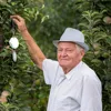 Garden Supplies