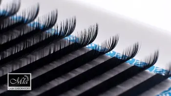 

[6D 0.07 J/B] Mia Lash Lab Volume Easy Fanning Super Soft and Light Eyelash Extensions Individual Semi Permanent