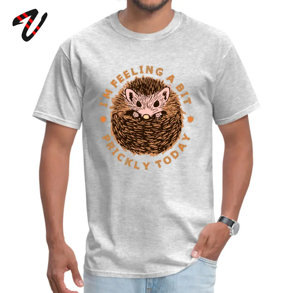Round Neck Classic Cotton Fabric Men's T Shirt Crazy Short Sleeve Tops T Shirt 2018 Fashion Summer Tees Wholesale Hedgehog Im Feeling A Bit Prickly Today -14046 grey