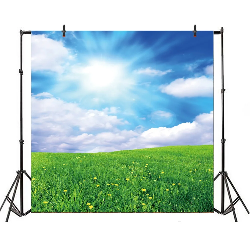 Laeacco Spring Flowers Blue Sky White Clouds Scenic Photography Backgrounds Customized Photographic Backdrops For Photo Studio