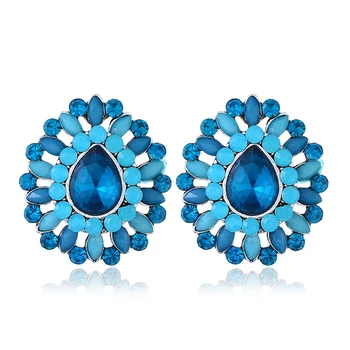

Fashion resin Earrings