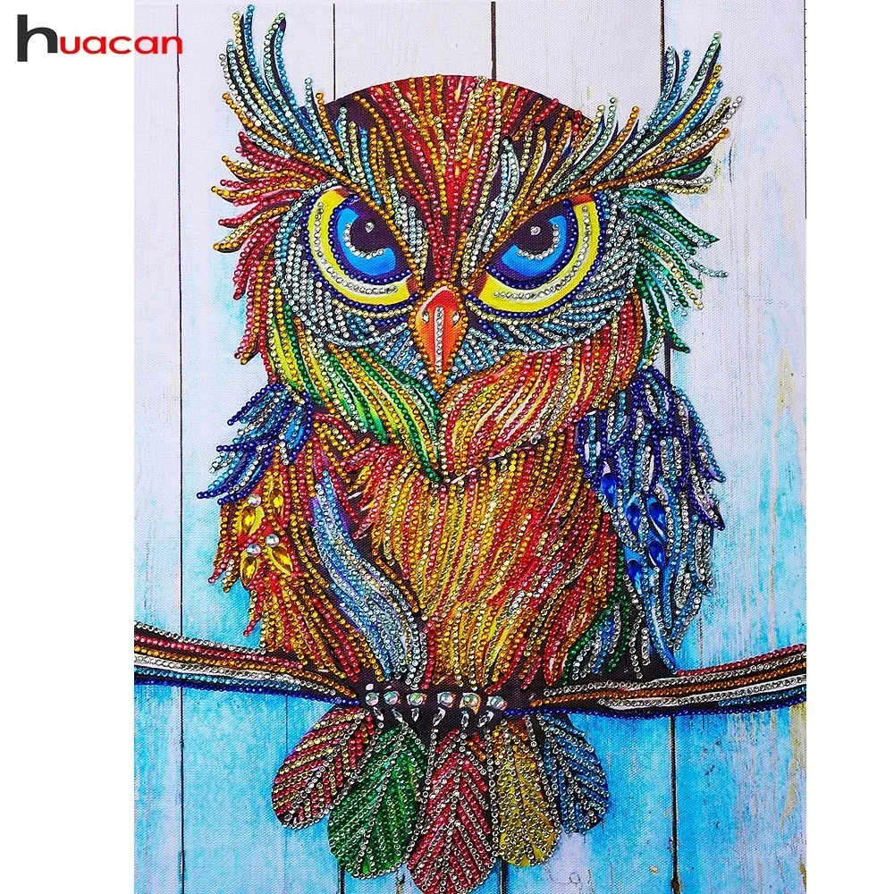 

Huacan Special Shape Diamond Painting Animal Picture Of Rhinestone Beadwork Diamond Mosaic Owl Craft Kit Home Decor 40x30cm
