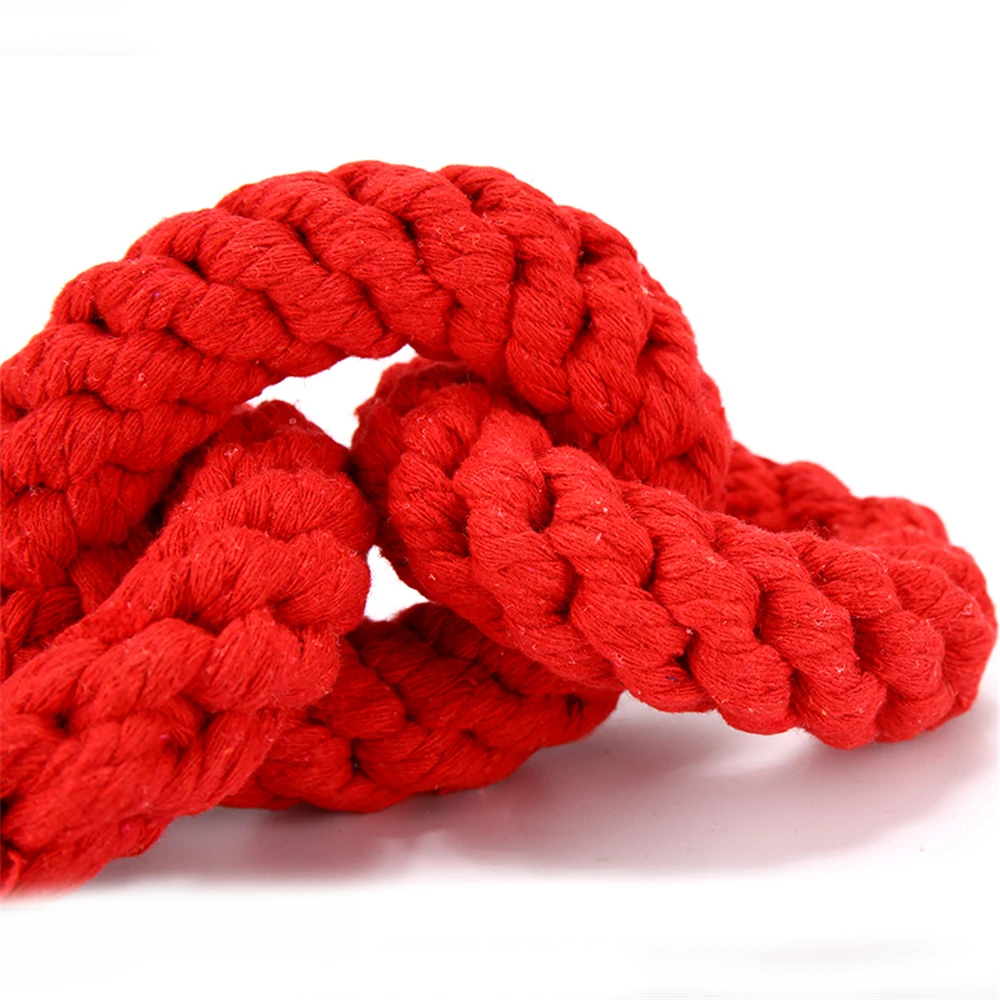 Dog toy XF0024-20
