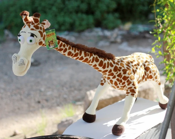 55 Cm Belle Girafe En Peluche Madagascar Melman Girafe Poupee Anniversaire Cadeau De Noel B4597 Aliexpress