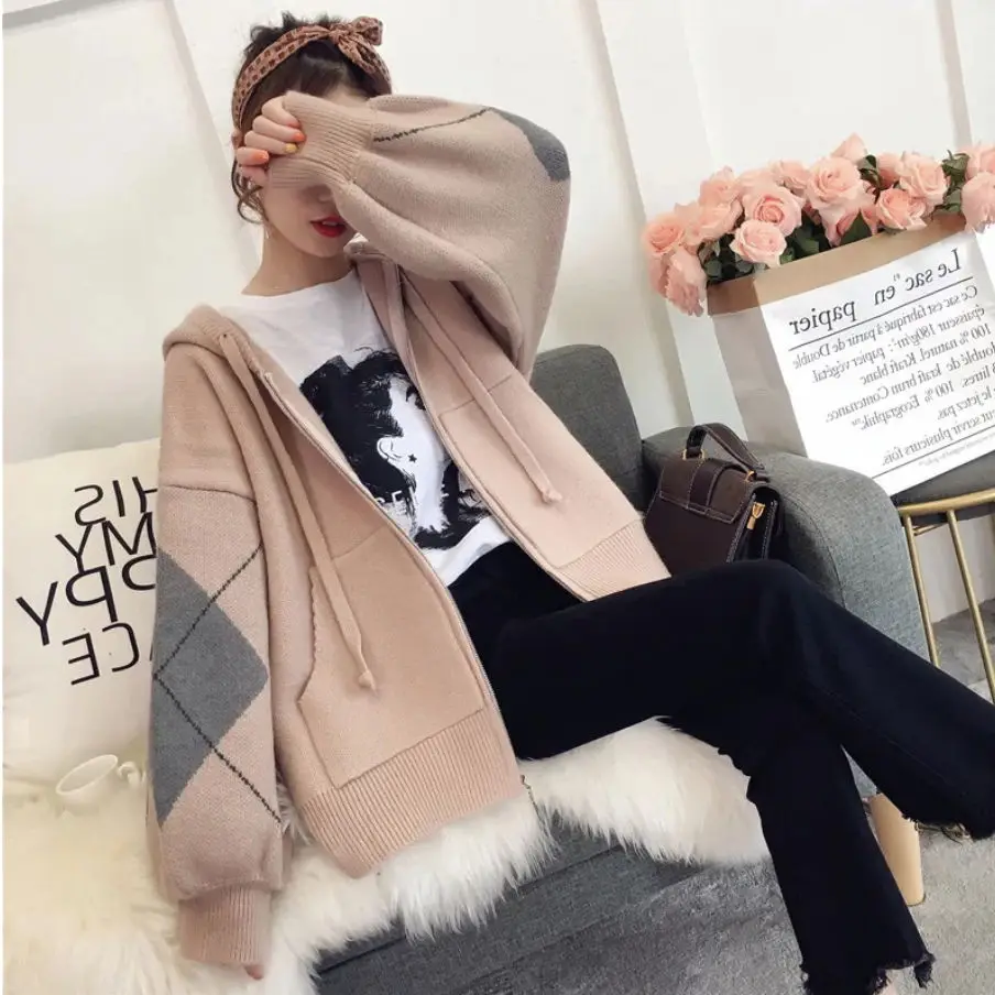 Short Thick Knit Cardigan 2019 New Loose Hooded Zipper Sweater Coat Female |