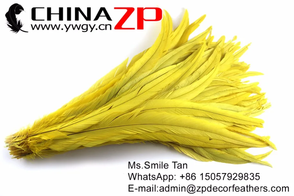 23 Rooster Tail Feather wholesale (2)