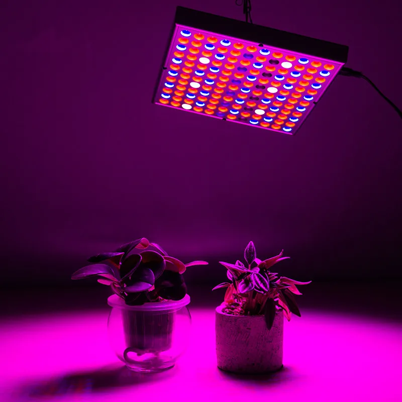 led grow light (1)