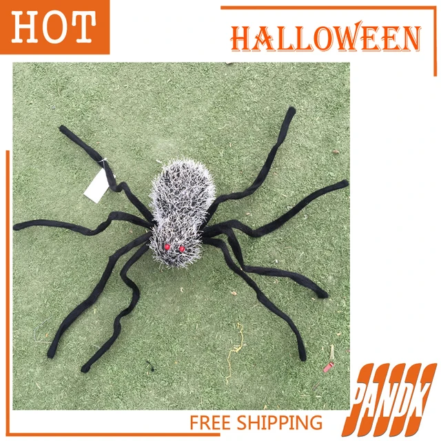 Spider decoration over house Spider decoration over house