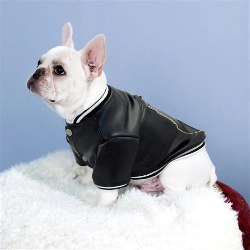 Pet Clothes Leather Jacket For Dogs For Small Medium Dog Shih Tzu Schnauzer Pug Winter Warm Coat