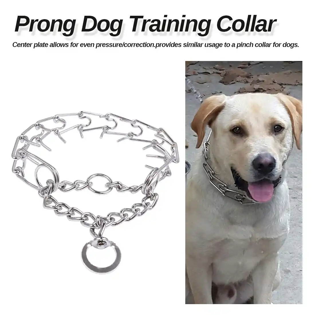 dog choke collar