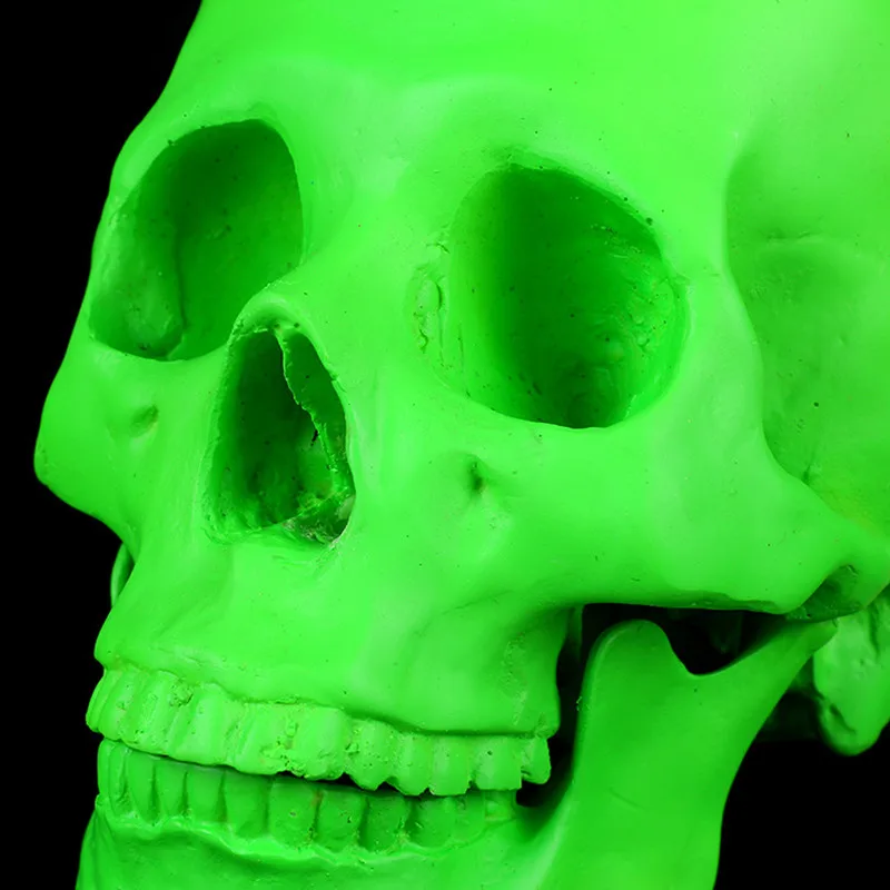 3048023588_509990420