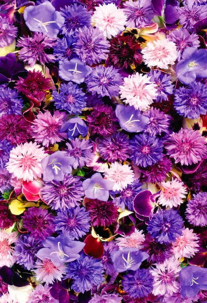 

Purple flowers wall photography backdrops fabric digital printing background for photo studio background photophone F-1087