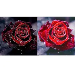 5D поделки алмазов картина красная роза живопись вышивки крестом алмазов Вышивка Полный Круглый Бриллиантовая мозаика ручной работы Декор