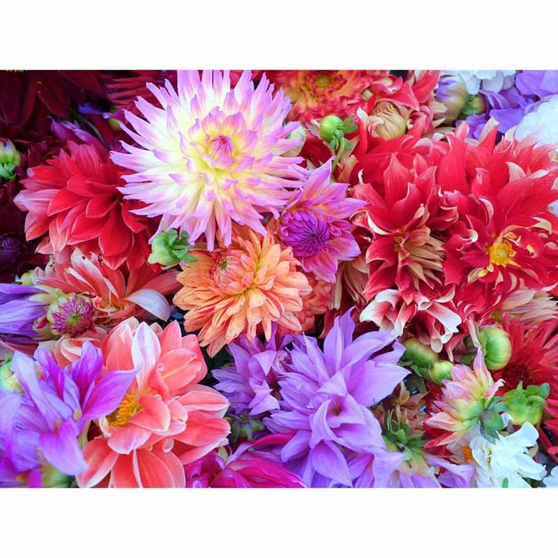 HTB1g_74EHGYBuNjy0Foq6AiBFXah