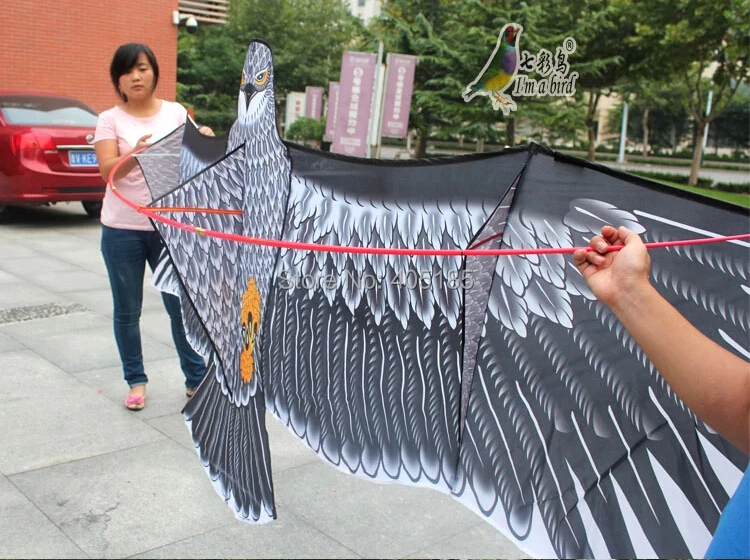Воздушный змей Eagle мощный 3 6 м с ручкой и плетеной линией|sporting goods mail order|kite artkite