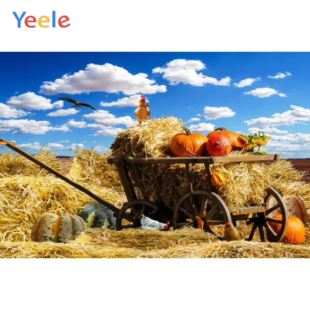 

Yeele Photography Backdrops Haystack Pumpkin Chicken Autumn Harvest Season Blue Sky Cloud Background Photocall For Photo Shoot