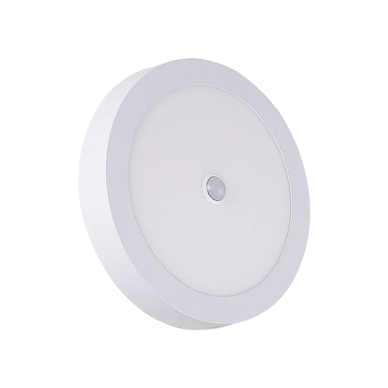 Surface Mounted LED Ceiling Lamps PIR Motion Sensor Night Light 6W/12/18W 24W Modern Ceiling Lights Living Room Balcony Corridor