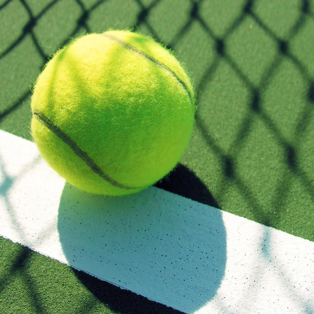 Новые Желтые Теннисные Мячи, спортивные соревнования на открытом воздухе, веселая крикет, Пляжная собака, высокое качество